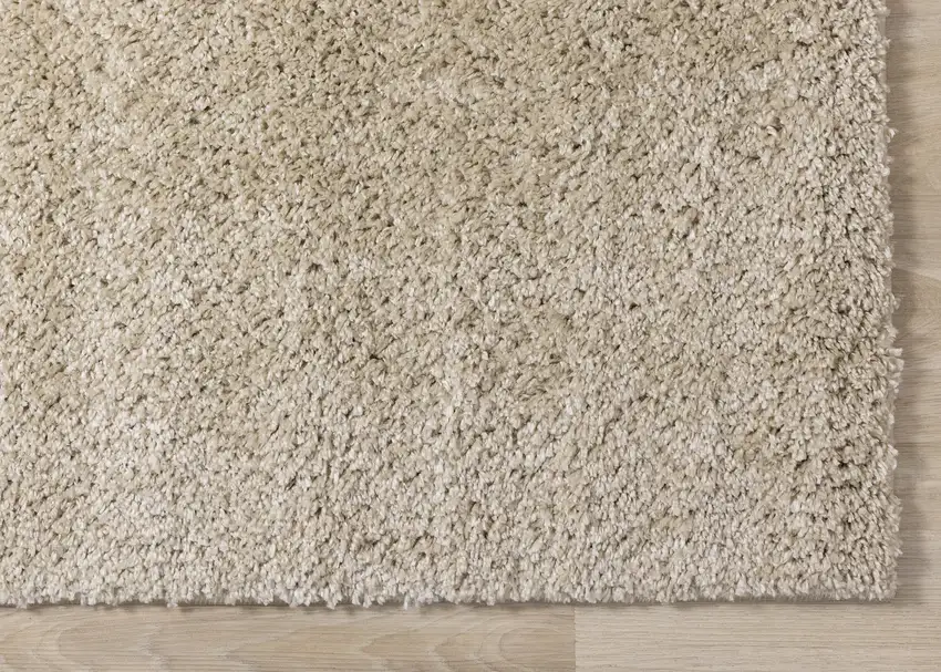 Beige Area Rug Photo 7