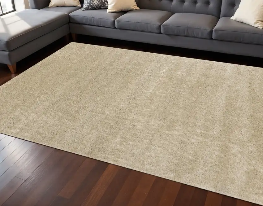 Beige Area Rug Photo 1