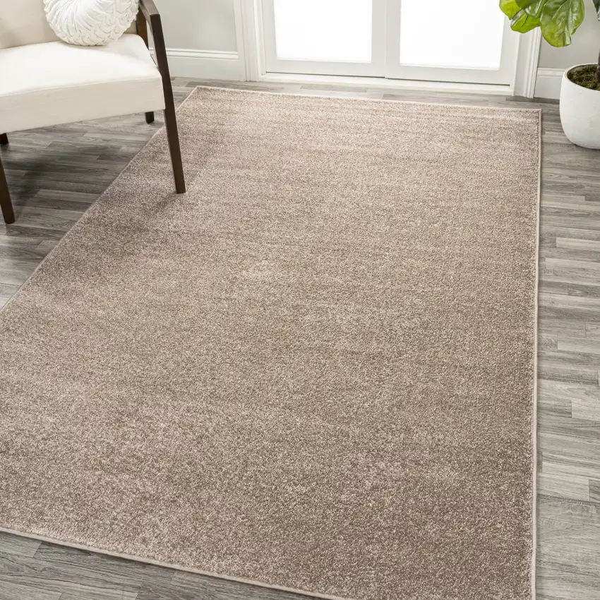 Beige Area Rug Photo 4
