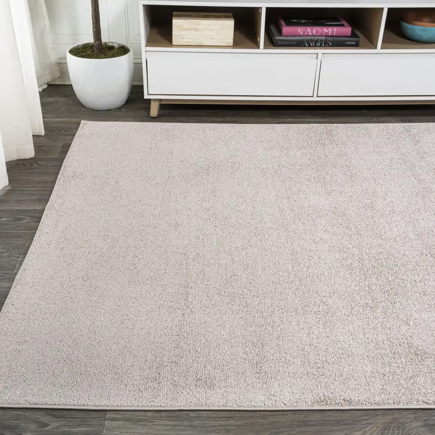 Beige Area Rug Photo 7