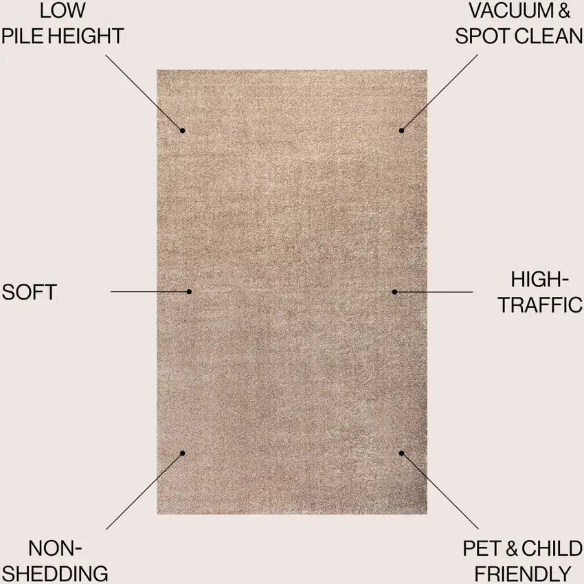 Beige Area Rug Photo 9