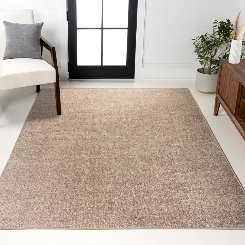 Beige Area Rug Photo 8