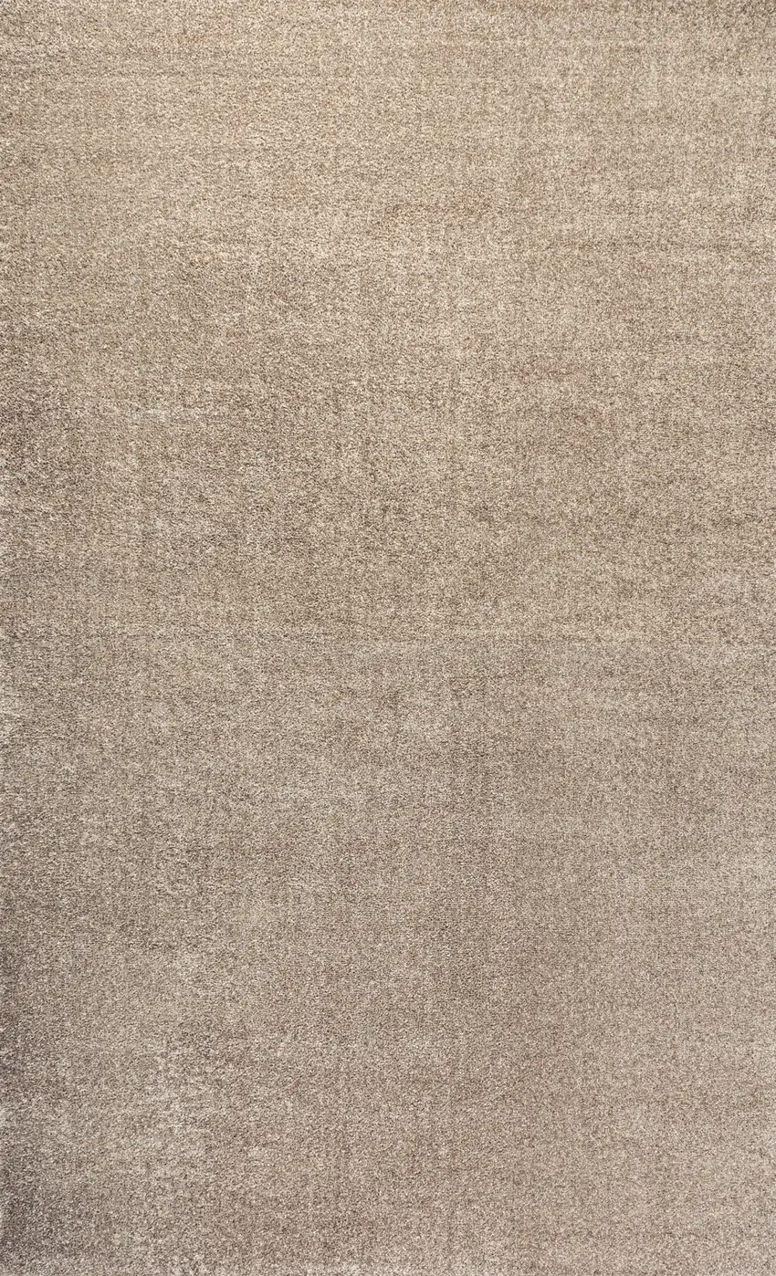 Beige Area Rug Photo 4