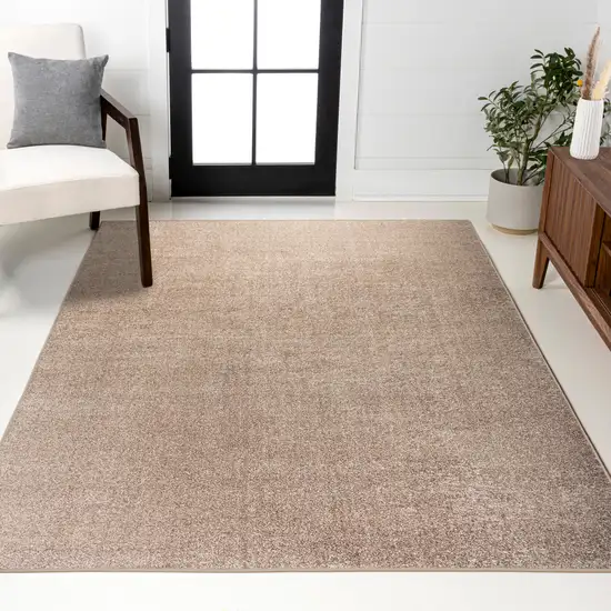 Beige Area Rug Photo 9