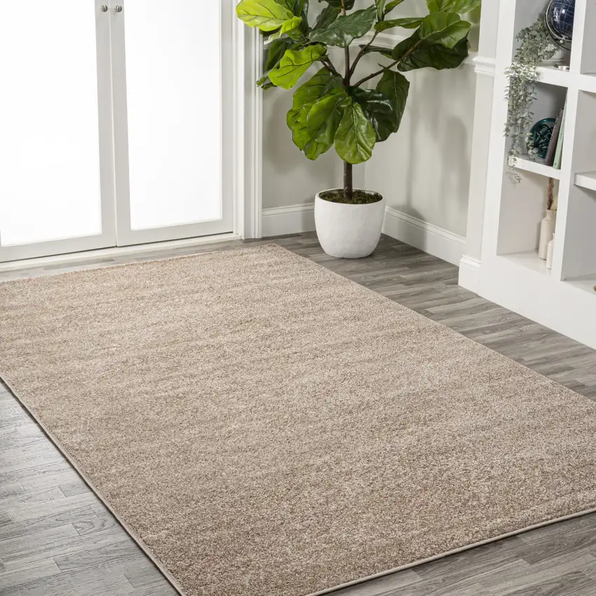 Beige Area Rug Photo 6
