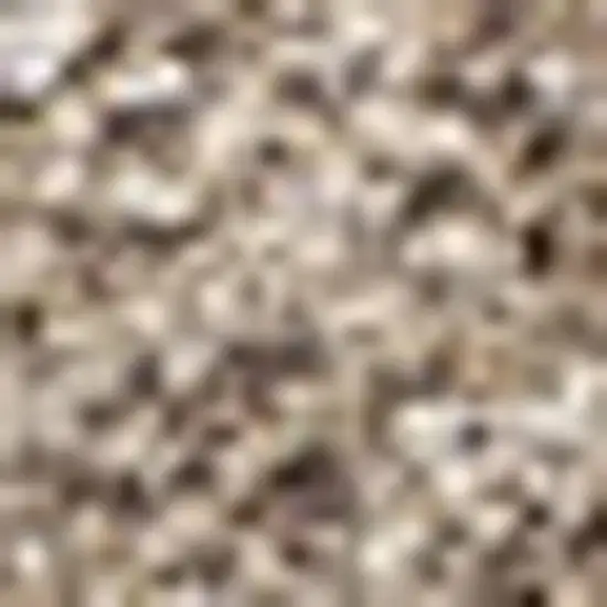 Beige Area Rug Photo 3