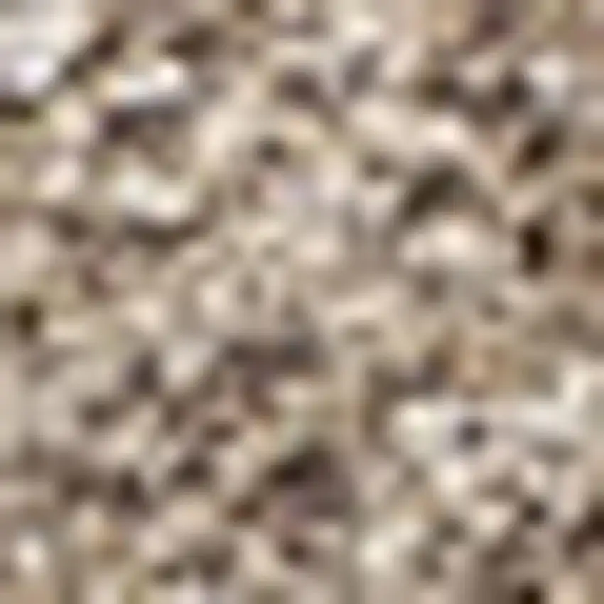 Beige Area Rug Photo 3