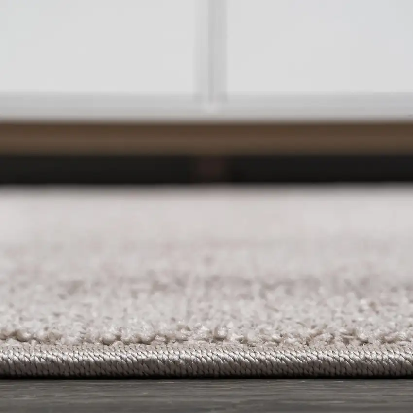 Beige Area Rug Photo 5