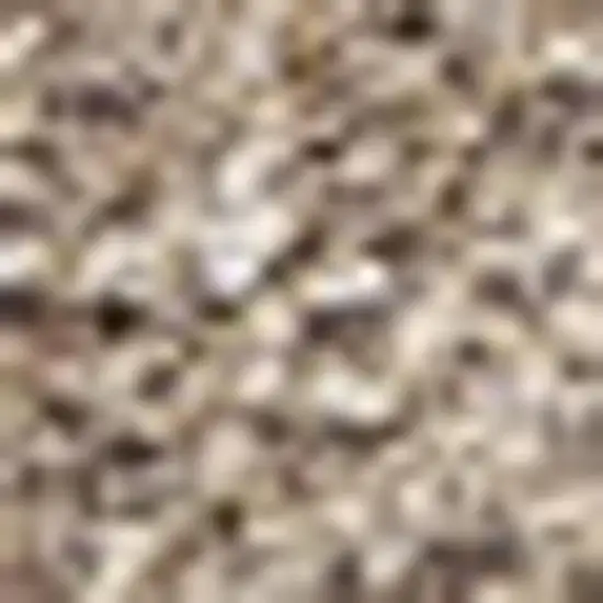 Beige Area Rug Photo 3