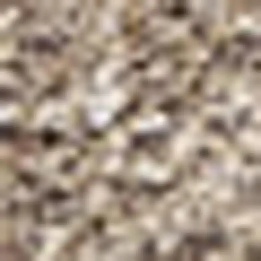 Beige Area Rug Photo 3