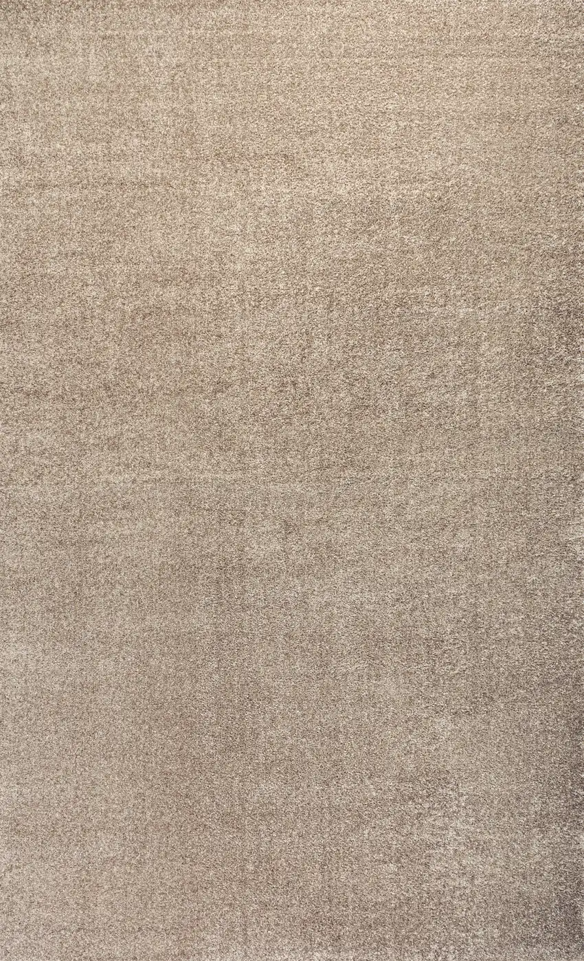 Beige Area Rug Photo 2