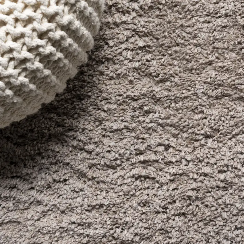 Beige Area Rug Photo 6