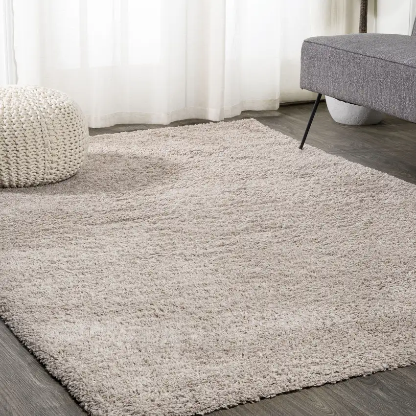 Beige Area Rug Photo 3