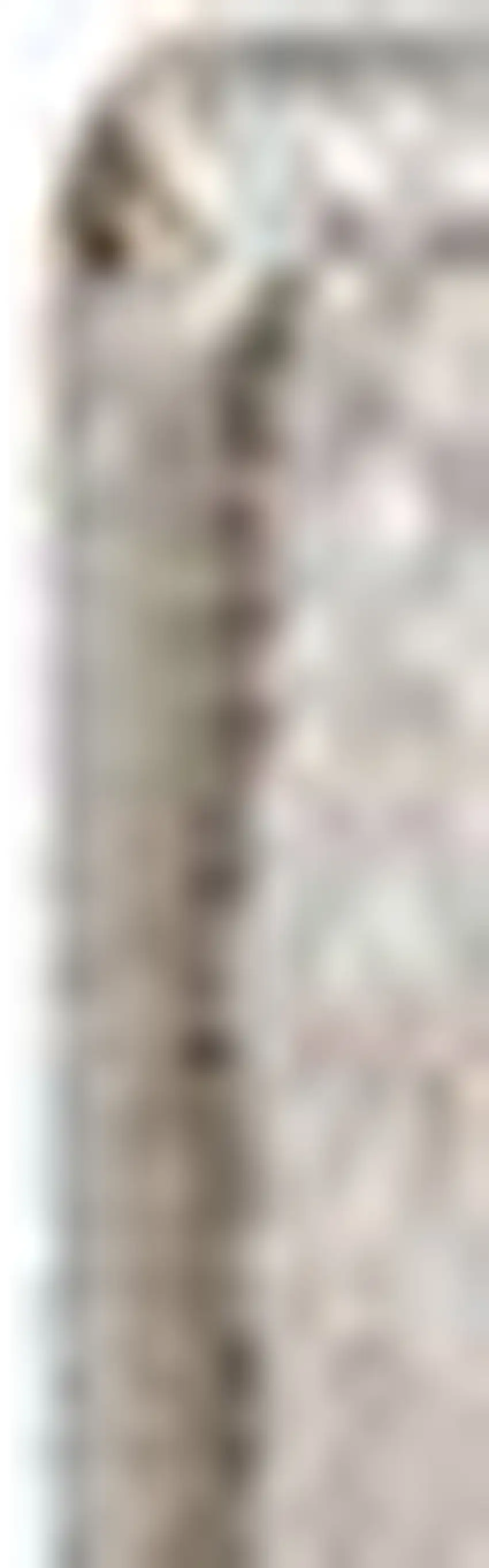 Beige Botanical Area Rug Photo 4