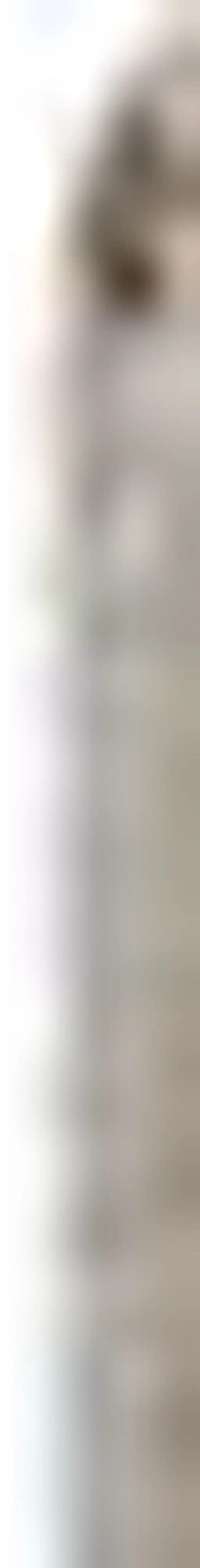 Beige Botanical Area Rug Photo 3