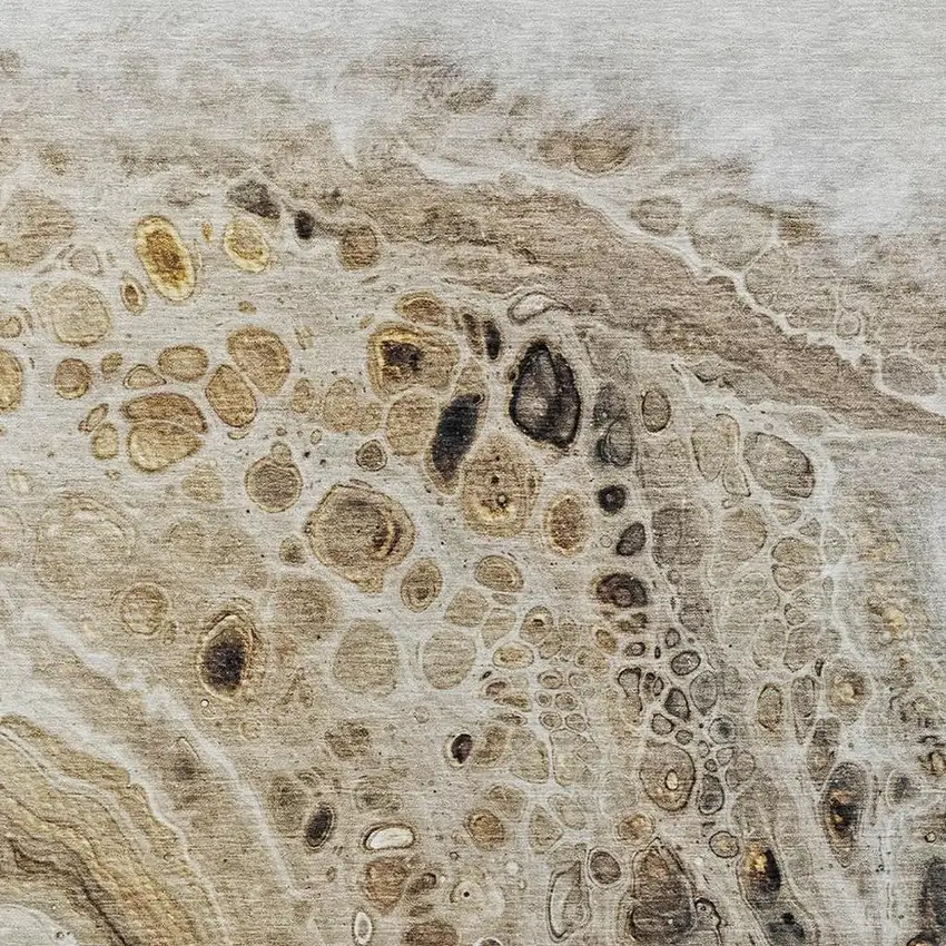 Beige Brown And Ivory Abstract Washable Indoor Outdoor Area Rug Photo 3