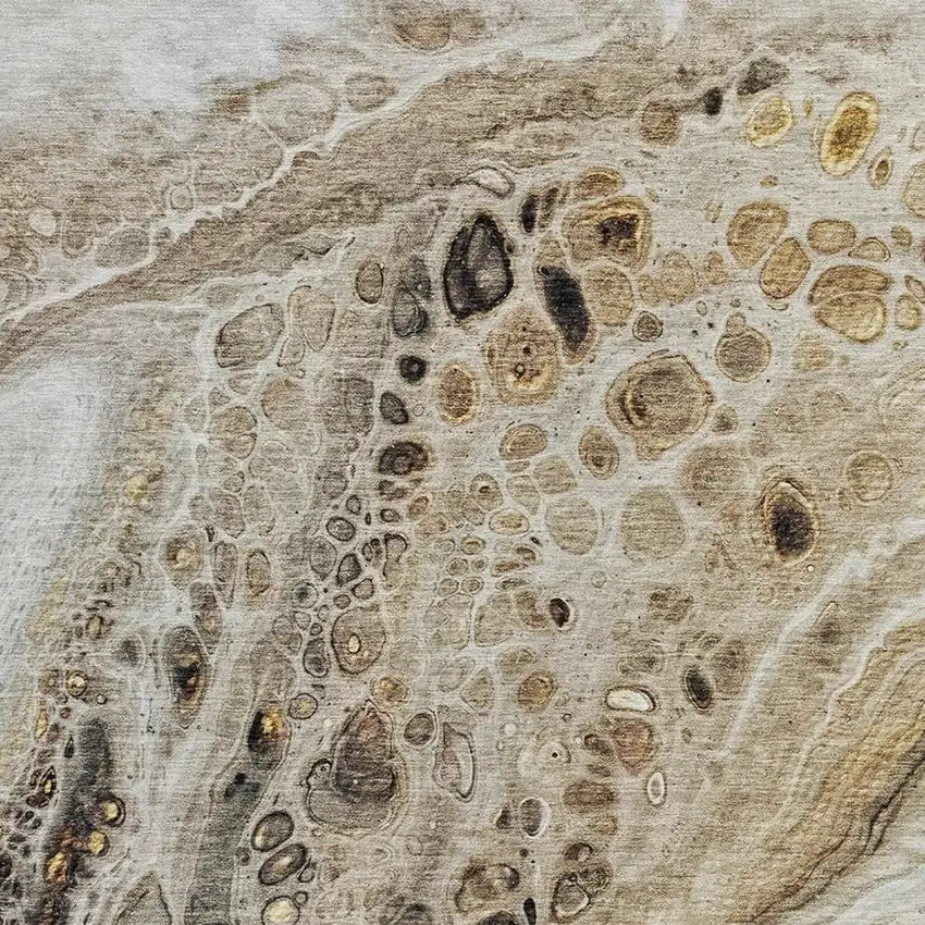 Beige Brown And Ivory Abstract Washable Indoor Outdoor Area Rug Photo 3