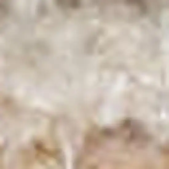 Beige Brown And Tan Geometric Area Rug Photo 3