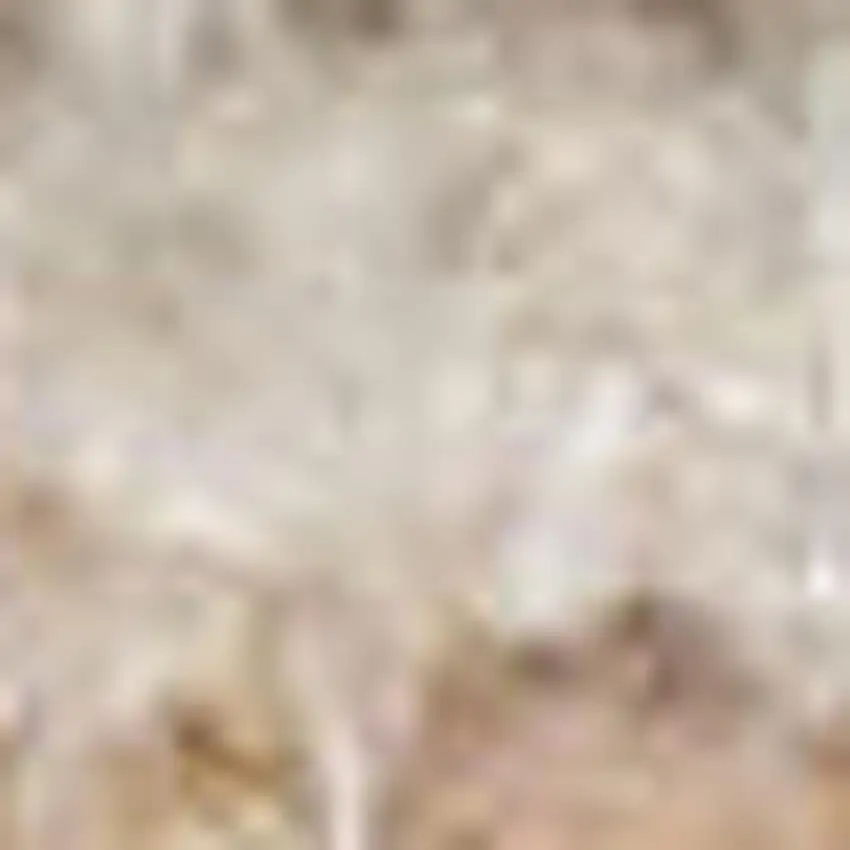 Beige Brown And Tan Geometric Area Rug Photo 3