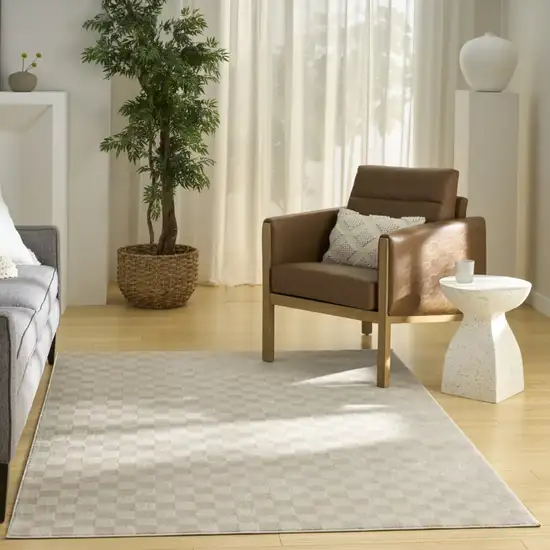 Beige Checkered Area Rug Photo 4