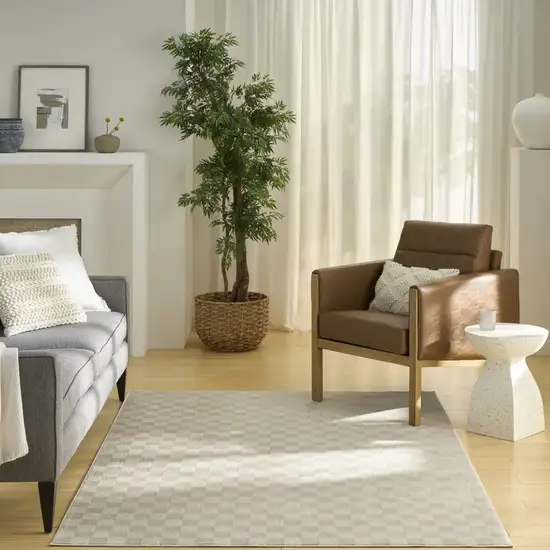 Beige Checkered Area Rug Photo 5