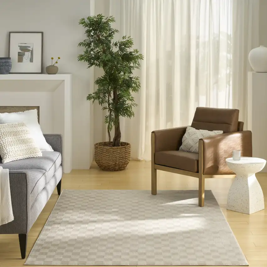 Beige Checkered Area Rug Photo 5