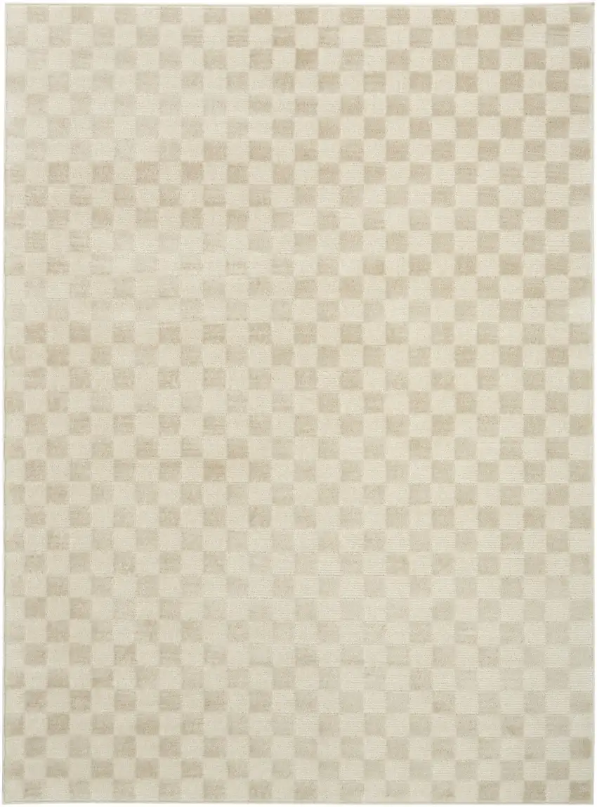 Beige Checkered Area Rug Photo 6