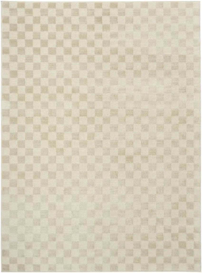 Beige Checkered Area Rug Photo 6