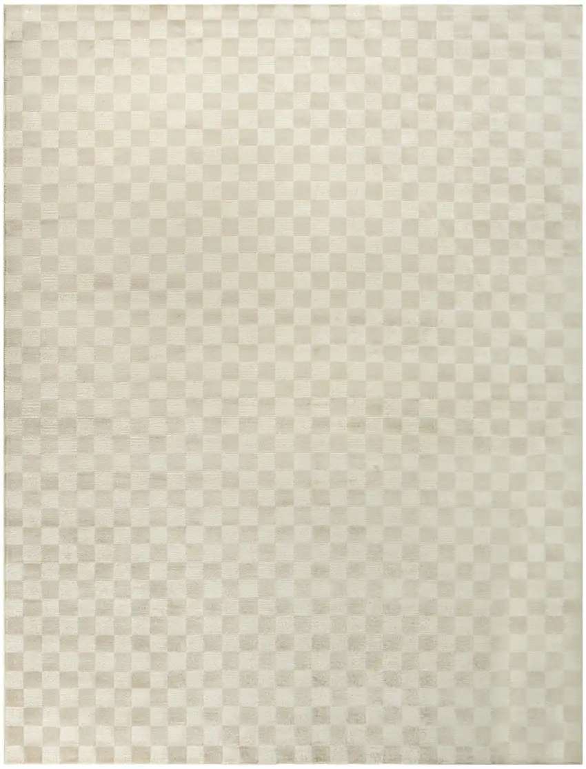 Beige Checkered Area Rug Photo 6