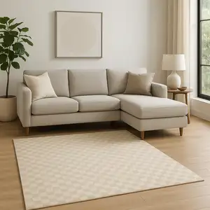 Photo of Beige Checkered Area Rug