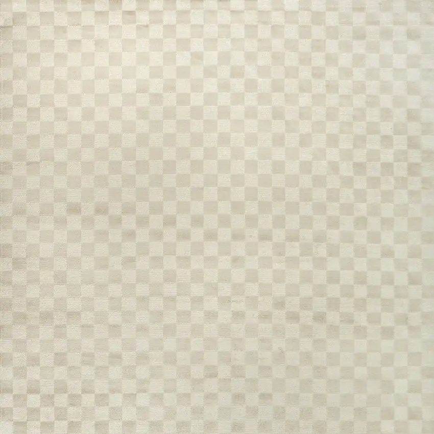Beige Checkered Area Rug Photo 8