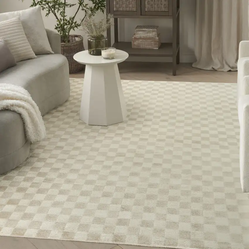 Beige Checkered Area Rug Photo 4