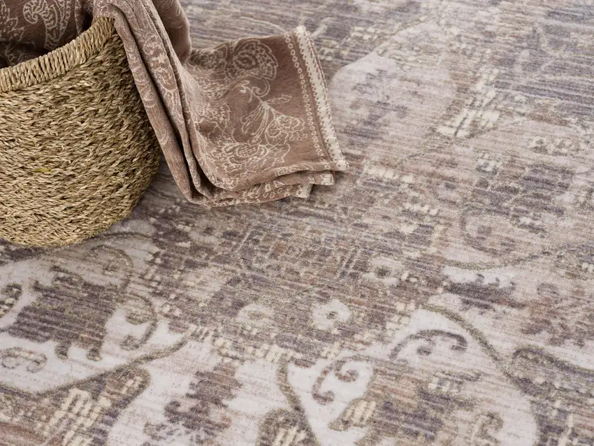 Beige Classic Medallion Area Rug Photo 7