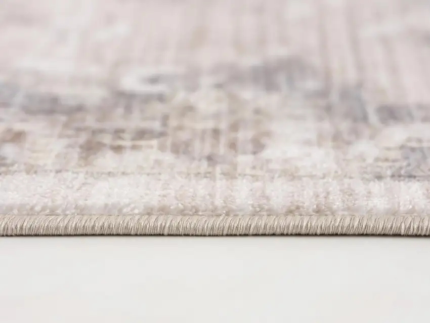 Beige Classic Medallion Area Rug Photo 10