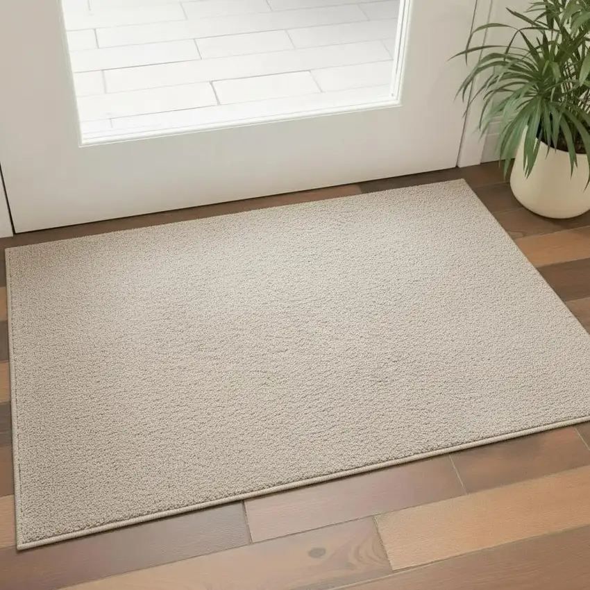 Beige Flatweave Area Rug Photo 2