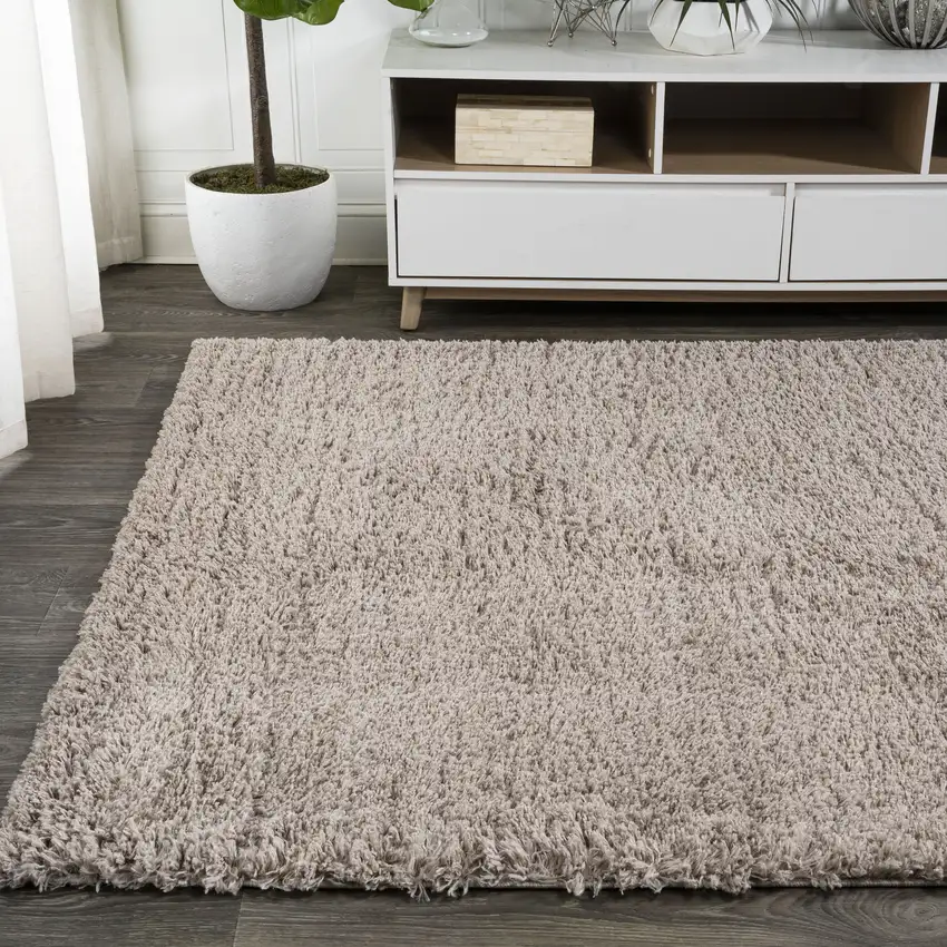 Beige Flatweave Area Rug Photo 5