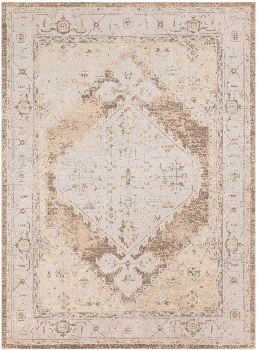 Beige Floral Distressed Area Rug Photo 5