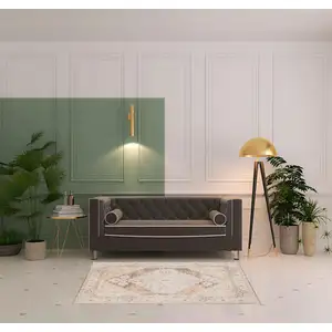 Photo of Beige Floral Distressed Area Rug