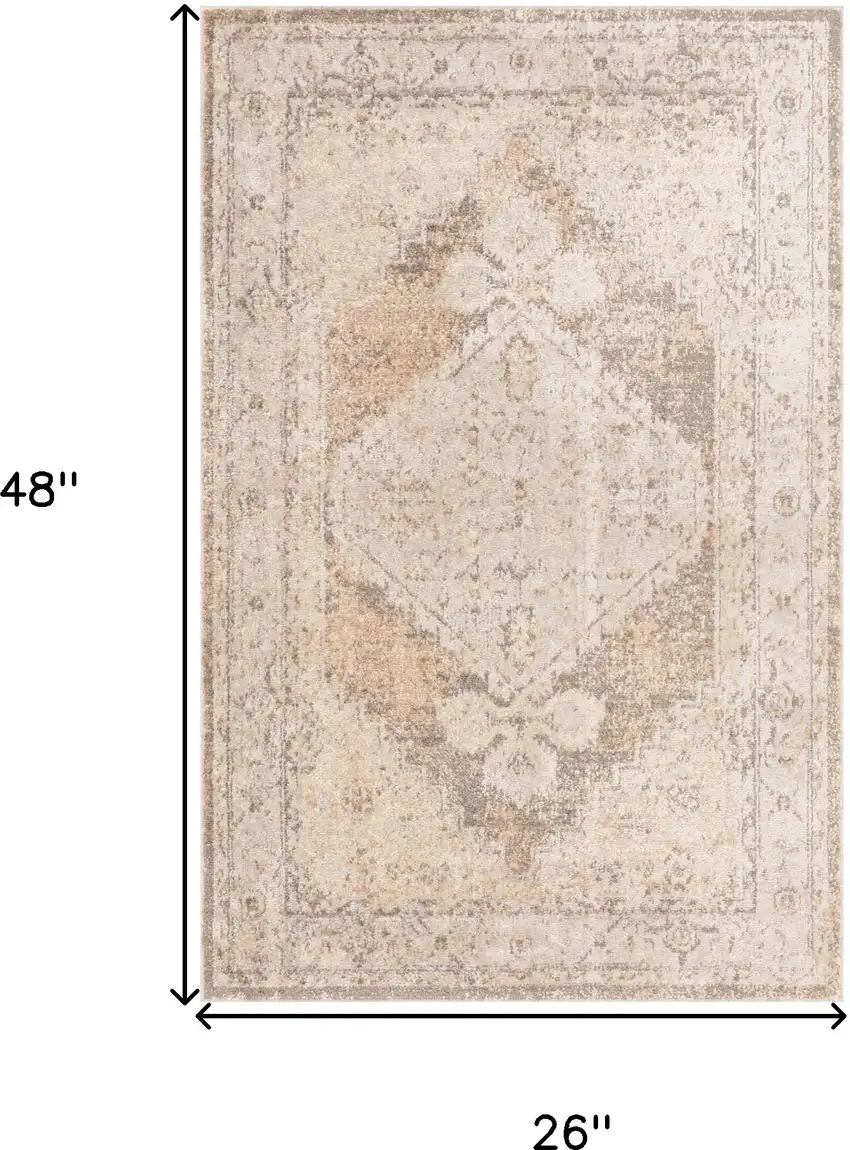 Beige Floral Distressed Area Rug Photo 3
