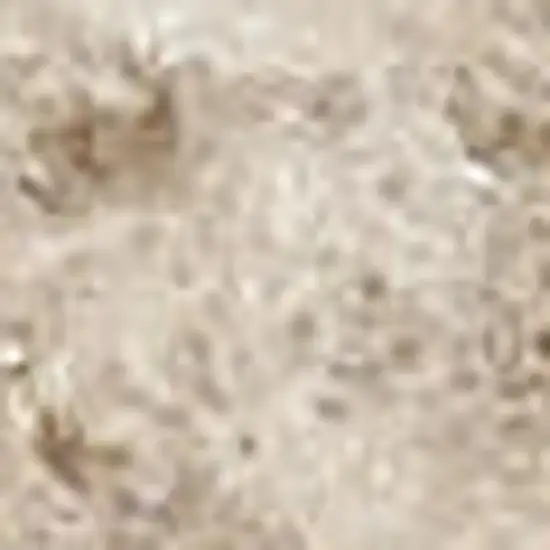 Beige Geometric Area Rug Photo 2