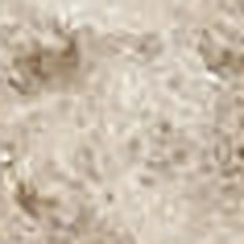 Beige Geometric Area Rug Photo 2
