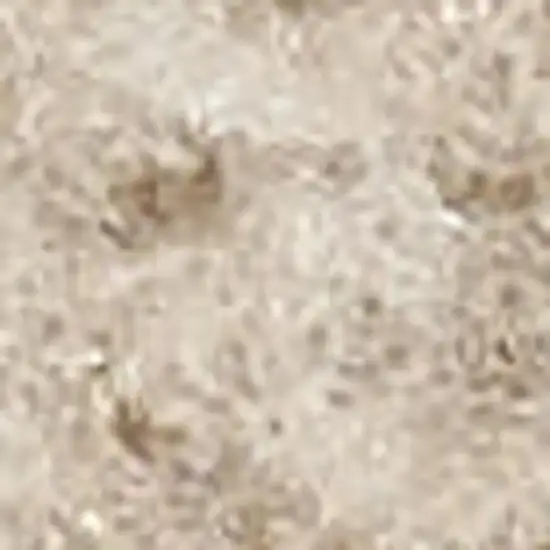 Beige Geometric Area Rug Photo 3