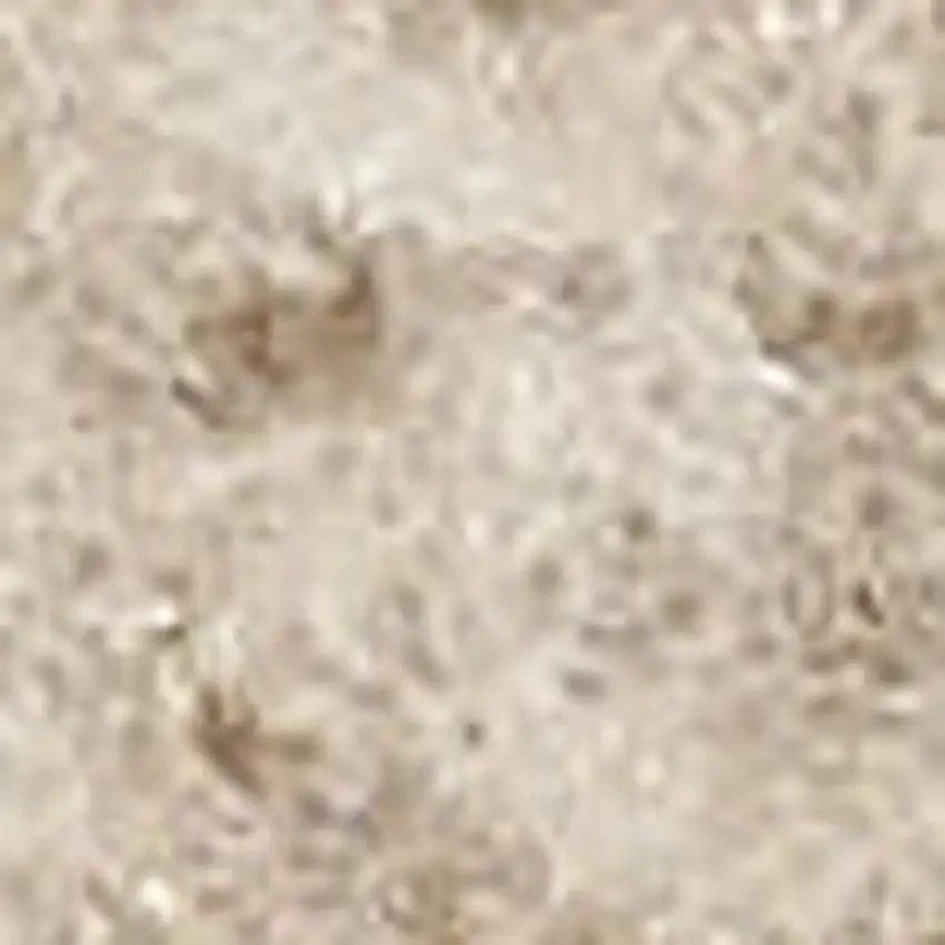 Beige Geometric Area Rug Photo 3