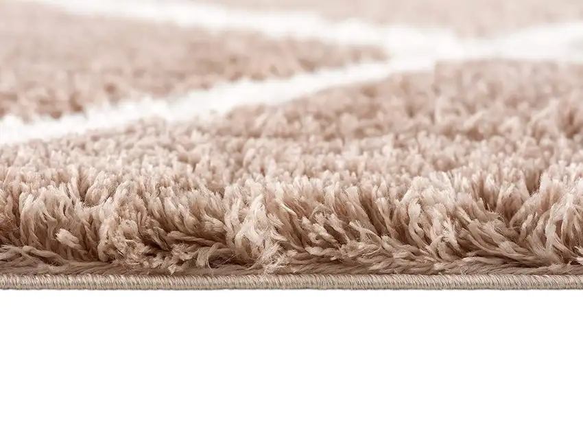 Beige Geometric Area Rug Photo 3