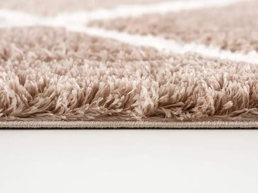 Beige Geometric Area Rug Photo 5