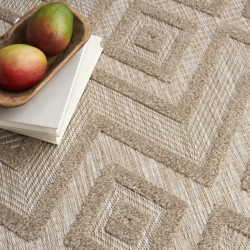 Beige Indoor Outdoor Area Rug Photo 6