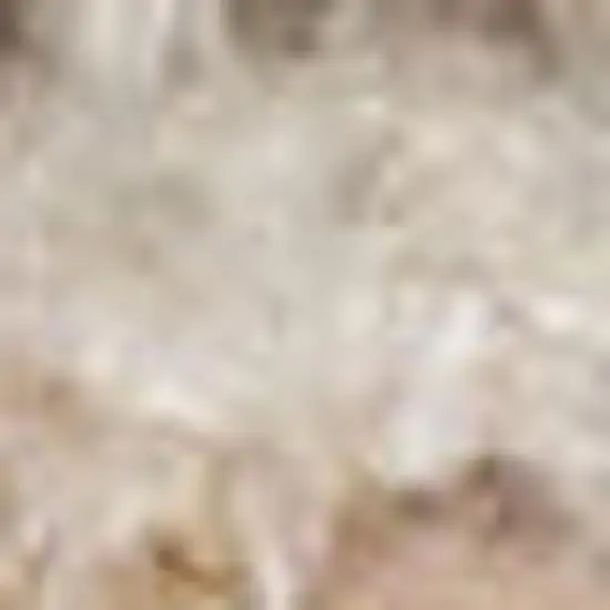 Beige Geometric Power Loom Area Rug Photo 3