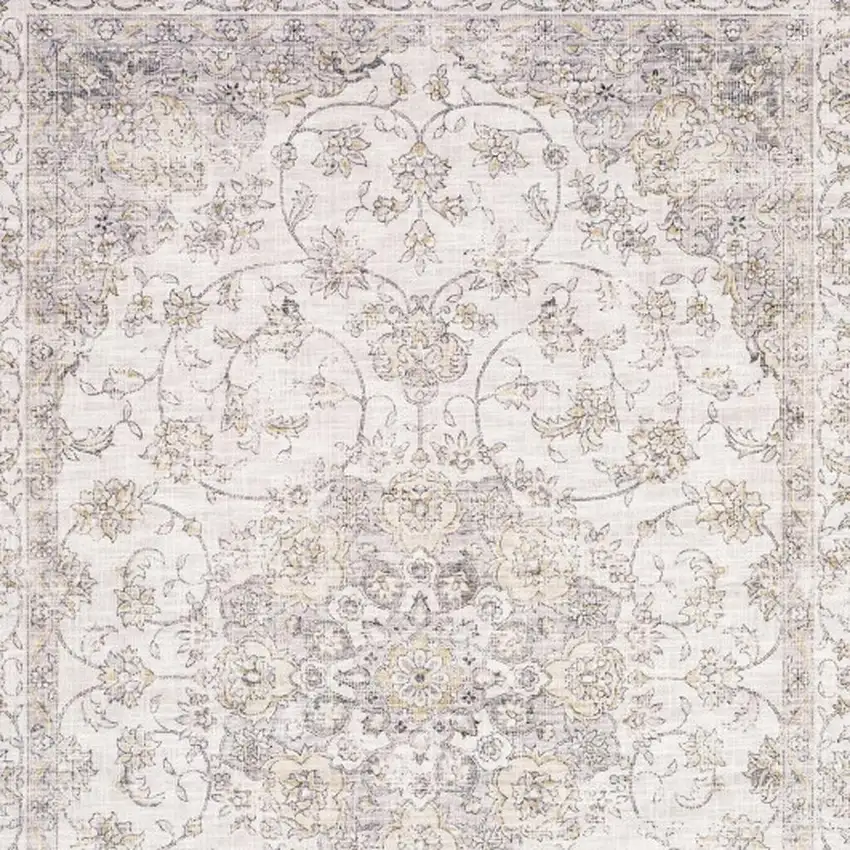 Beige Gold And Grey Oriental Power Loom Stain Resistant Area Rug Photo 4