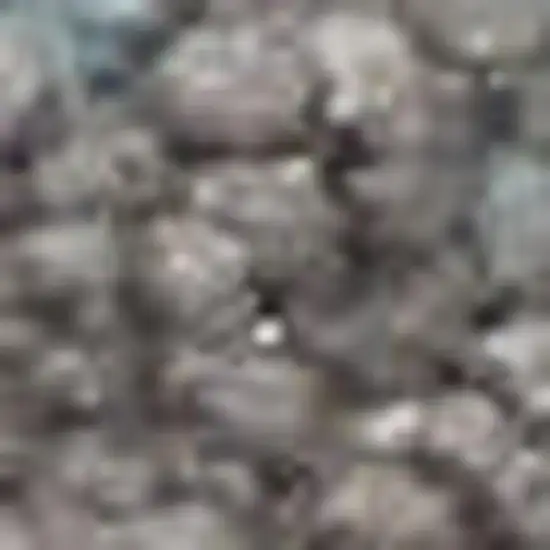 Beige Gray And Blue Botanical Leaves Area Rug Photo 1