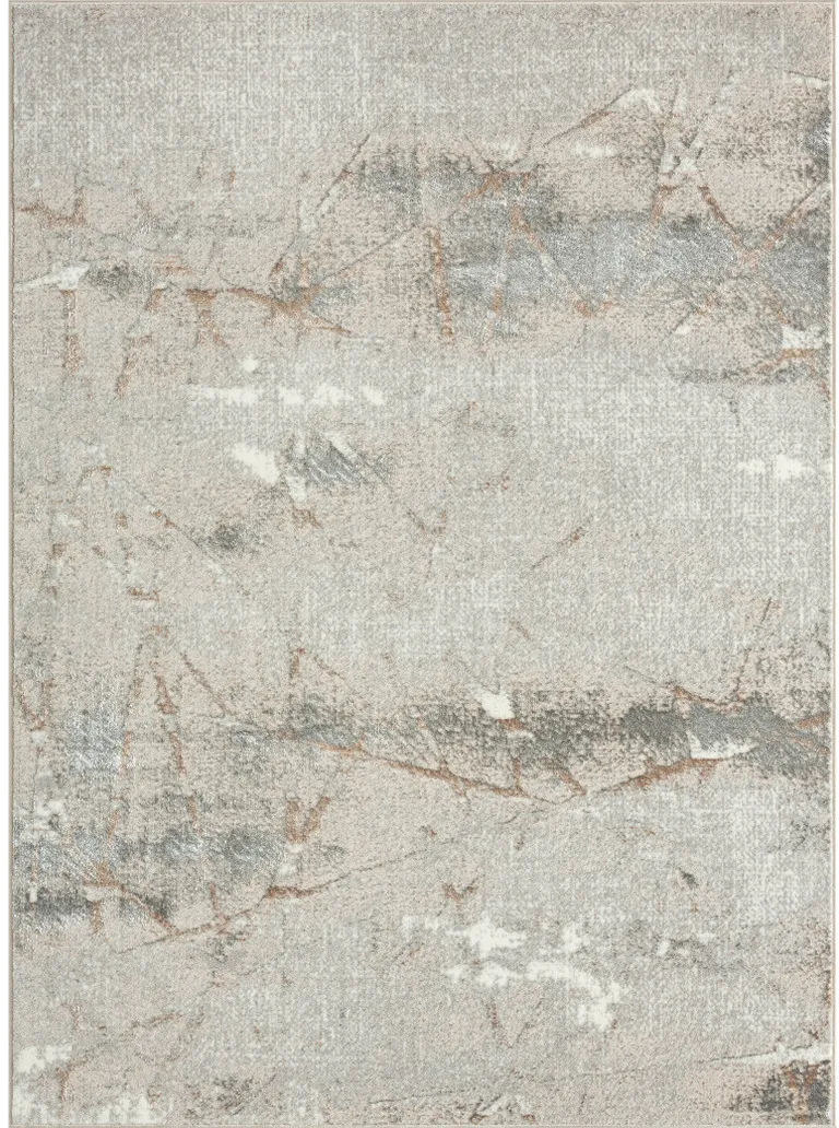 Beige Gray And Brown Abstract Area Rug Photo 1